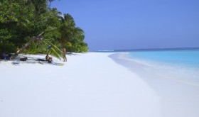 IMG_7976.JPG